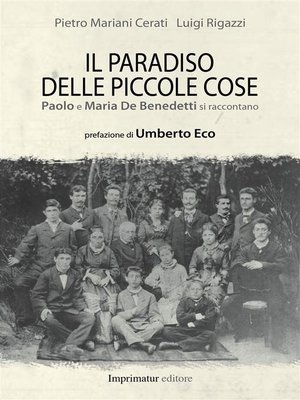 cover image of Il paradiso delle piccole cose
